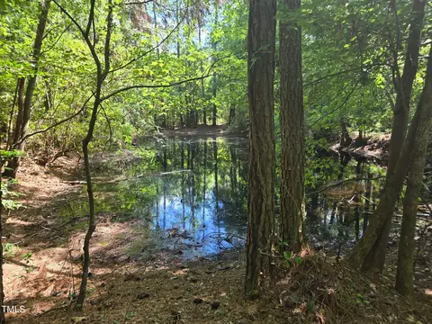 0 Lee-johnson Rd, Dunn, NC 28334 photo 11