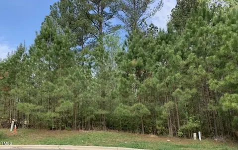 68 Larkspur Court Ct, Pittsboro, NC 27312