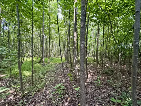 tbd Hunters Cir, Rougemont, NC 27572