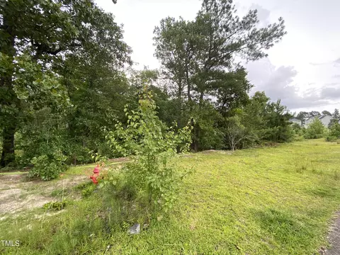 814 Juno Dr, Broadway, NC 27505 photo 9