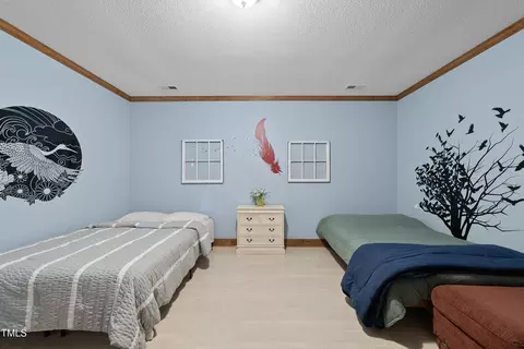 115 Swallowtail Dr, Semora, NC 27343 photo 33
