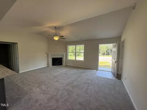 299 Starry Sky Dr, Benson, NC 27504 photo 3