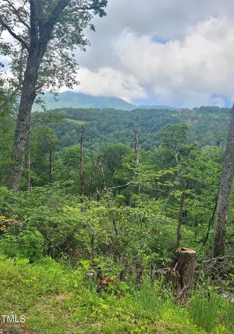 266 Little Sugar Ln, Sugar Mountain, NC 28604