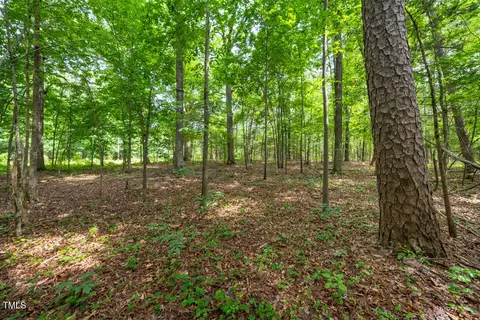 4808 Farrington Rd, Durham, NC 27707 photo 5