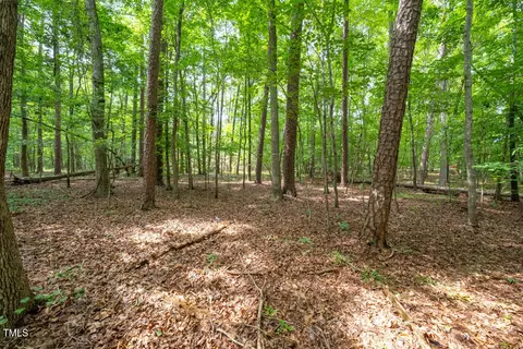 4808 Farrington Rd, Durham, NC 27707 photo 6