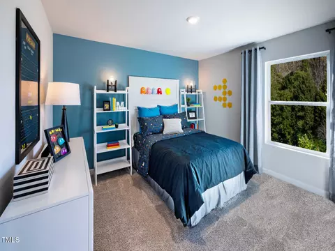 291 Thistle Patch Pl, Angier, NC 27501 photo 12