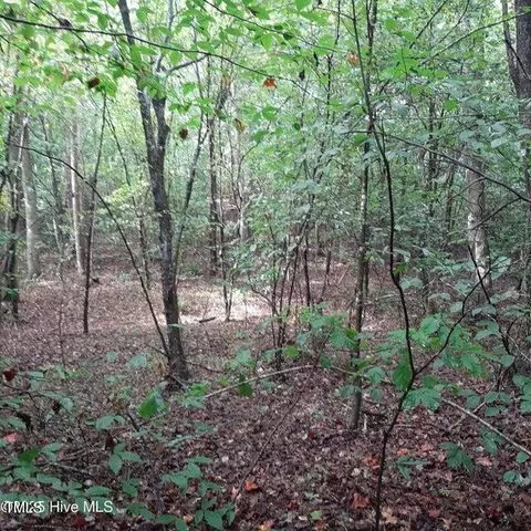 0 Bowden Rd, Spring Hope, NC 27882 photo 2