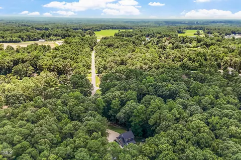 View/Area - 6600 Willow Chase Dr, Willow Spring, NC 27592 photo 2 of 4