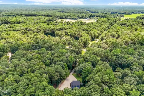 View/Area - 6600 Willow Chase Dr, Willow Spring, NC 27592 photo 3 of 4