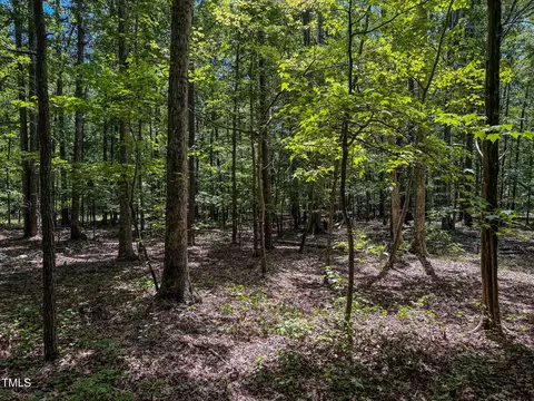 8 Acres Overlook Dr, Rougemont, NC 27572 photo 2