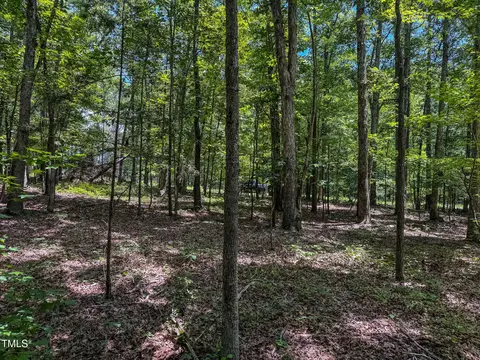 8 Acres Overlook Dr, Rougemont, NC 27572 photo 6