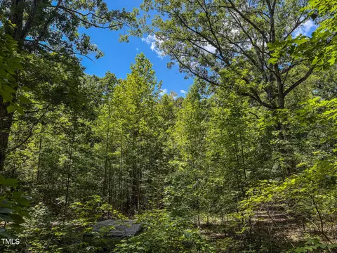 8 Acres Overlook Dr, Rougemont, NC 27572 photo 3