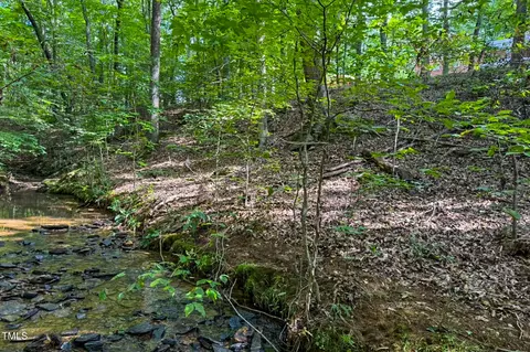 352 River Trace Dr, Rougemont, NC 27572 photo 10