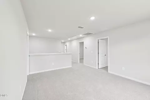 Other - 306 Thistle Patch Pl, Angier, NC 27501 photo 7 of 16