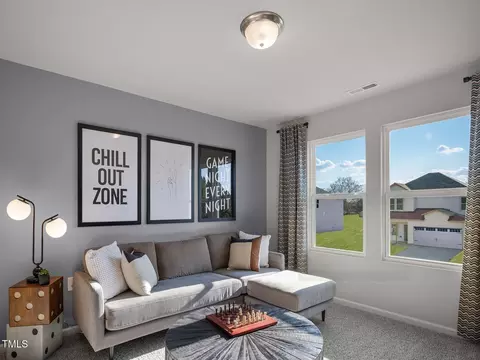 Other - 294 Thistle Patch Pl, Angier, NC 27501 photo 3 of 3