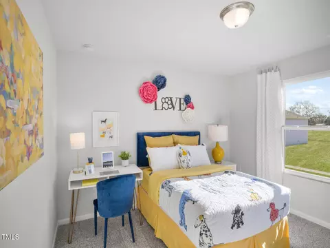 Bedroom - 294 Thistle Patch Pl, Angier, NC 27501 photo 4 of 4