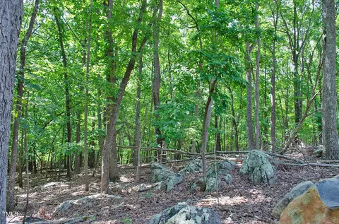 148 Lookout Ridge Way, Rougemont, NC 27572
