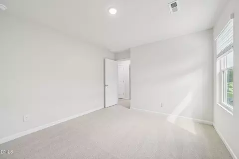 264 Thistle Patch Pl, Angier, NC 27501 photo 39