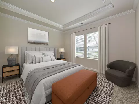 284 Thistle Patch Pl, Angier, NC 27501 photo 11