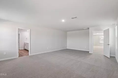 202 Thistle Patch Pl, Angier, NC 27501 photo 22
