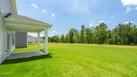 37 Pink Iris Ct, Clayton, NC 27520 photo 28