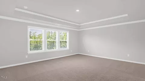 37 Pink Iris Ct, Clayton, NC 27520 photo 15