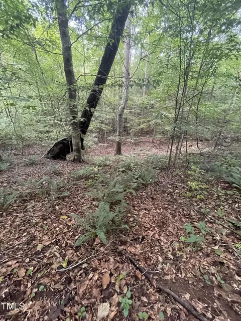 0 Bethel South Fork Rd, Snow Camp, NC 27349