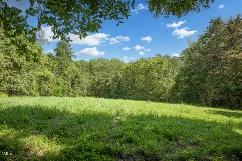000 Weadon Rd, Blanch, NC 27212 photo 20