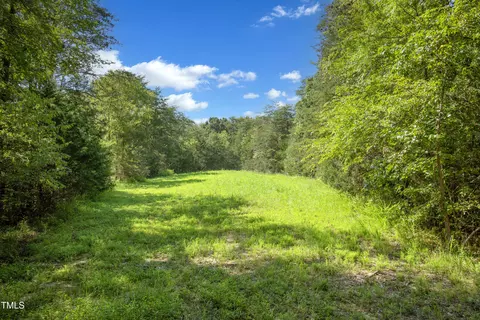 000 Weadon Rd, Blanch, NC 27212 photo 17