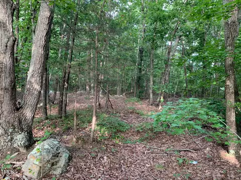0 Ruff Davis Rd, Roxboro, NC 27574 photo 5