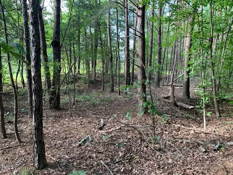 0 Ruff Davis Rd, Roxboro, NC 27574 photo 8