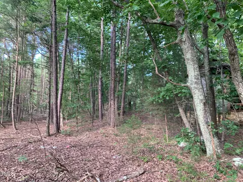 0 Ruff Davis Rd, Roxboro, NC 27574 photo 6