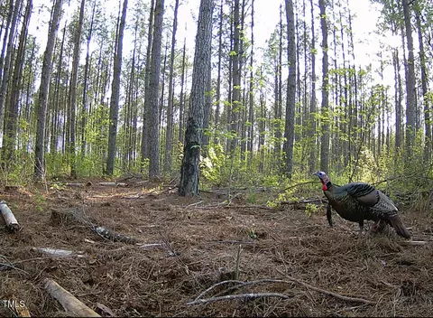 0 Richardson Rd, Warrenton, NC 27589