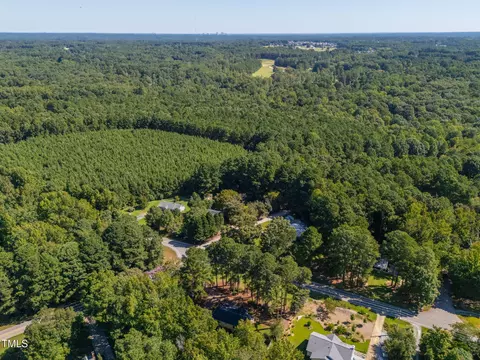 View/Area - 8736 Manns Loop Rd, Apex, NC 27539 photo 6 of 10