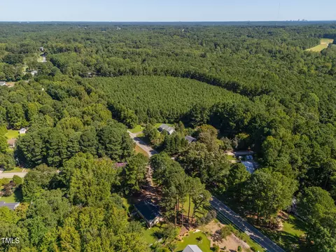 View/Area - 8736 Manns Loop Rd, Apex, NC 27539 photo 5 of 10