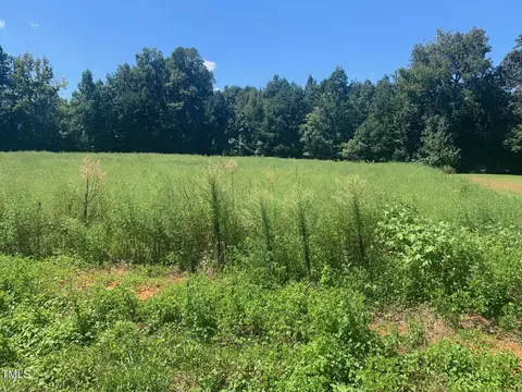0 Lewis Winstead Loop, Roxboro, NC 27574 photo 3