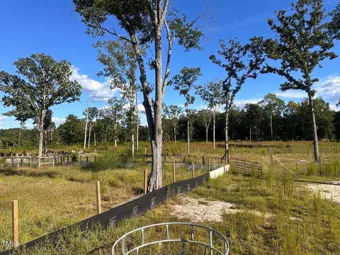 280 Chambers Rd, Rougemont, NC 27572 photo 14