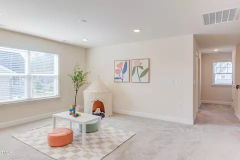 Entry Way - 1209 Birchbark Rd, Durham, NC 27705 photo 7 of 8