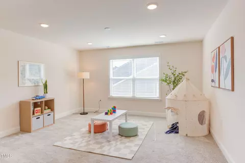 Other - 1209 Birchbark Rd, Durham, NC 27705 photo 8 of 12