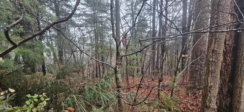 0 Continental Divide Dr, East Flat Rock, NC 28726 photo 6