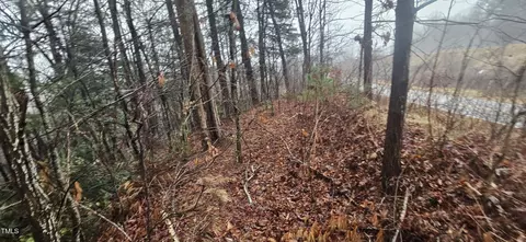 0 Continental Divide Dr, East Flat Rock, NC 28726 photo 8