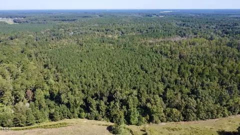 0 Bunnlevel Erwin Rd, Bunnlevel, NC 28323 photo 2