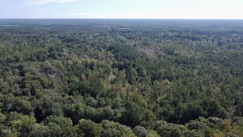 0 Bunnlevel Erwin Rd, Bunnlevel, NC 28323 photo 12