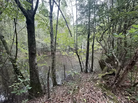 0 Bunnlevel Erwin Rd, Bunnlevel, NC 28323 photo 24