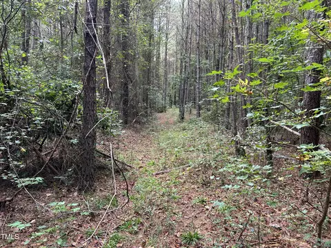 0 Bunnlevel Erwin Rd, Bunnlevel, NC 28323 photo 20