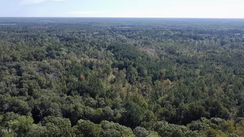 0 Bunnlevel Erwin Rd, Bunnlevel, NC 28323 photo 13
