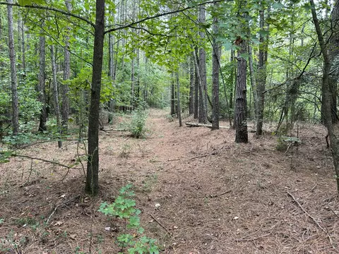0 Bunnlevel Erwin Rd, Bunnlevel, NC 28323 photo 25