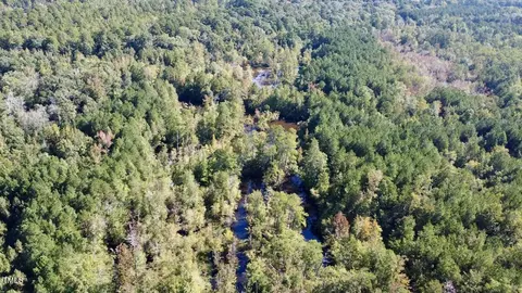 0 Bunnlevel Erwin Rd, Bunnlevel, NC 28323 photo 15