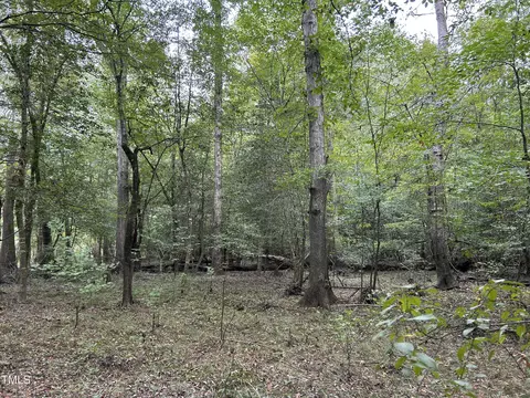 0 Bunnlevel Erwin Rd, Bunnlevel, NC 28323 photo 29