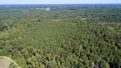0 Bunnlevel Erwin Rd, Bunnlevel, NC 28323 photo 3